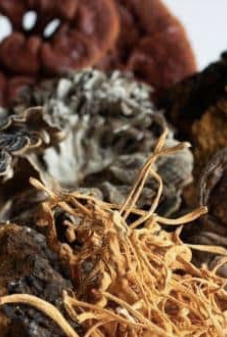 The 5 Mushroom Trends Aussies Can’t Stop Talking About in 2025