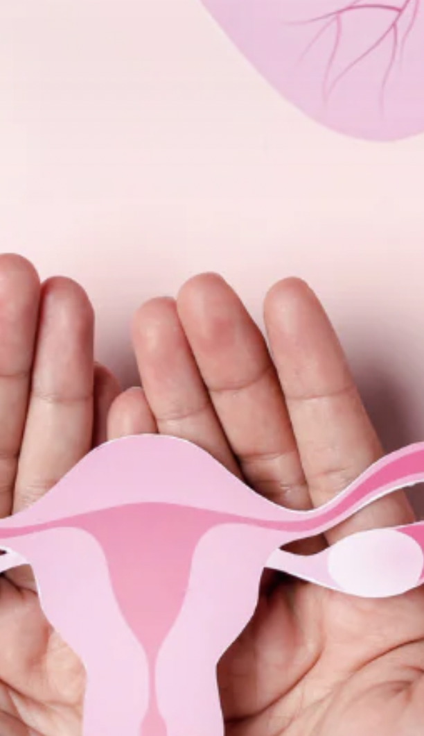  Mushrooms for Menopause 